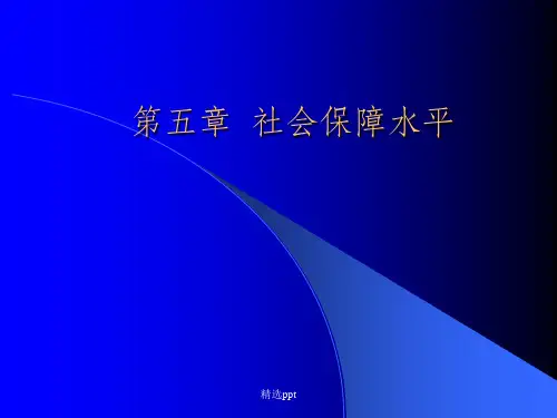 《社会保障水平》