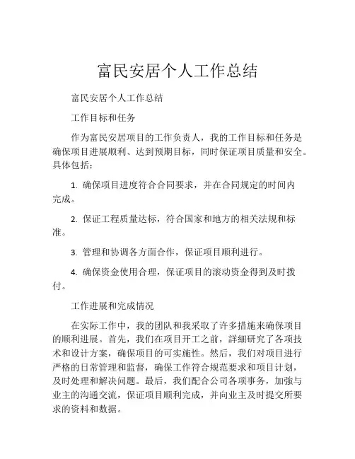 富民安居个人工作总结