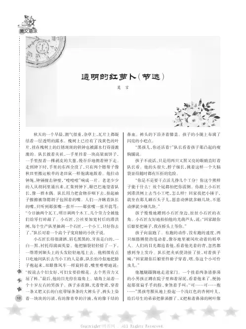 透明的红萝卜（节选）