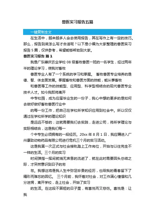 兽医实习报告五篇