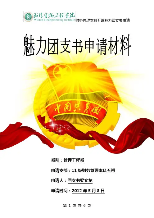 魅力团支书申请材料