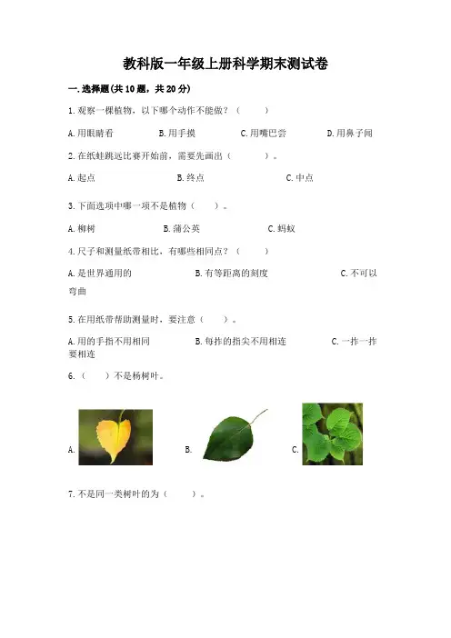教科版一年级上册科学期末测试卷及参考答案(名师推荐)