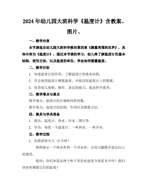 2024年幼儿园大班科学《温度计》含教案、图片、