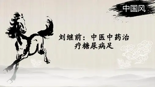 刘继前：中医中药治疗糖尿病足