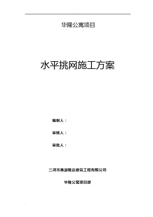 水平挑网施工方案