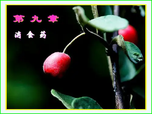 中药学第九章消食药,必须看必过