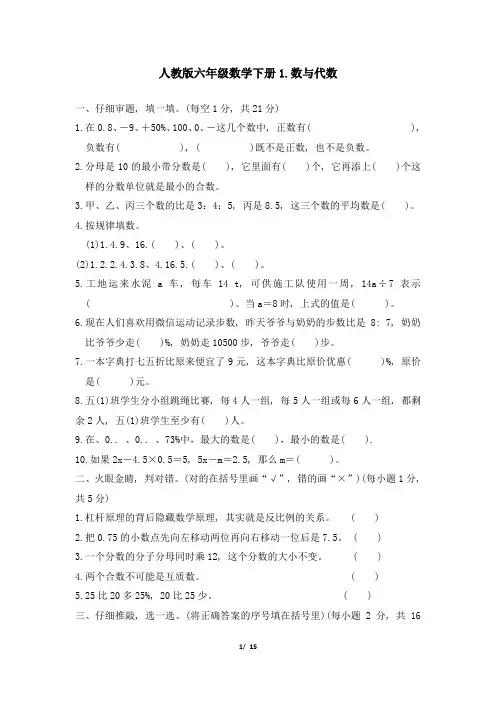人教版六年级数学下册小升初专项试卷--数与代数-附答案