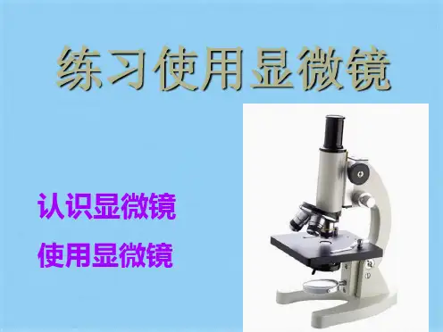 显微镜的结构和使用ppt(共41张PPT)