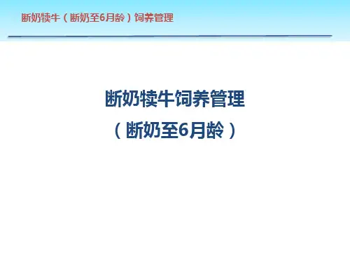 断奶犊牛的饲养管理