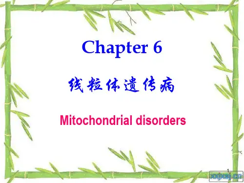 线粒体遗传病PPT课件