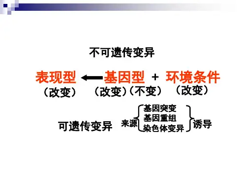 专题生物的变异与进化精品PPT课件