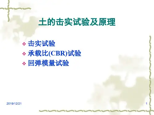 9土工试验和原理(击实)专题培训课件