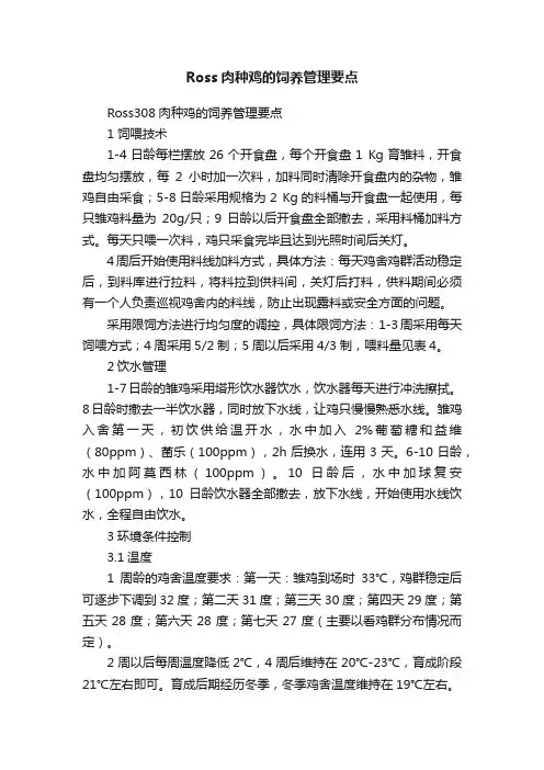 Ross肉种鸡的饲养管理要点