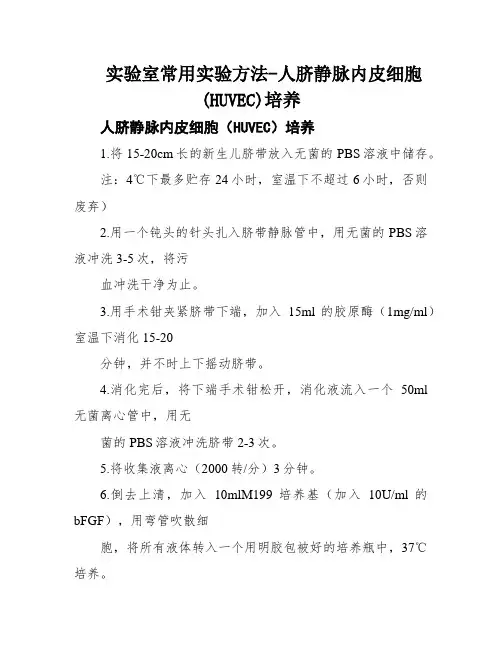 实验室常用实验方法-人脐静脉内皮细胞(HUVEC)培养