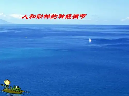 人和高等动物的神经调节ppt课件(自制)3