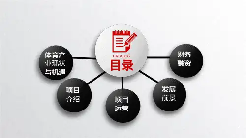 梦想计划 体育产业幻灯片