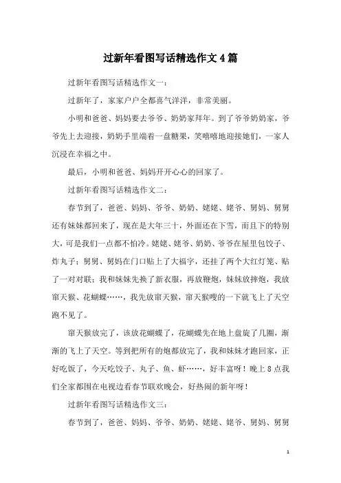 过新年看图写话精选作文4篇