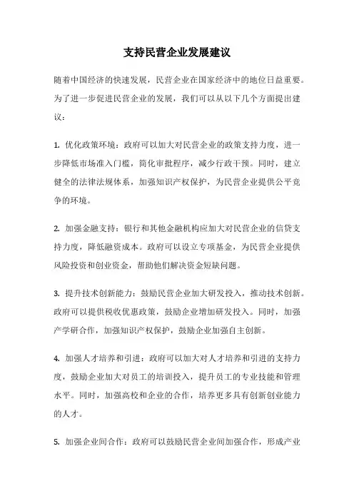 支持民营企业发展建议