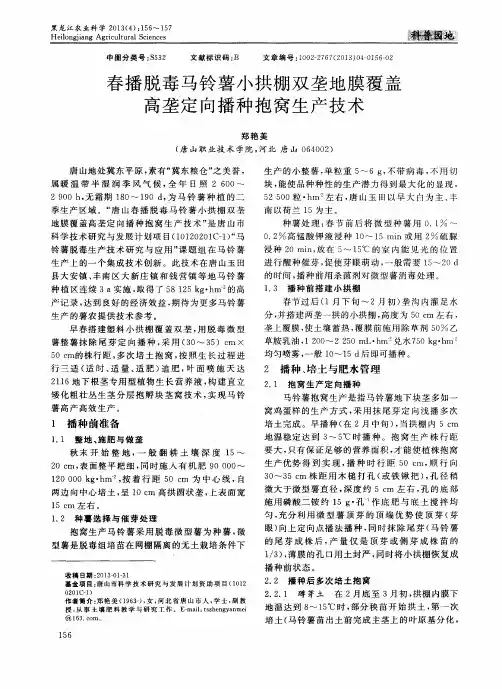 春播脱毒马铃薯小拱棚双垄地膜覆盖高垄定向播种抱窝生产技术