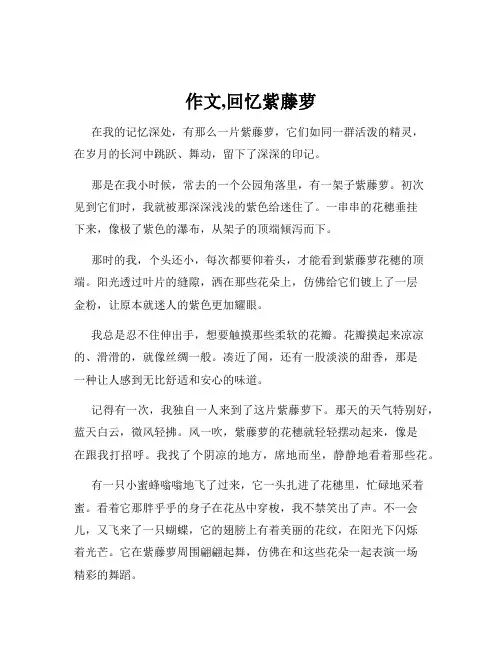 作文,回忆紫藤萝