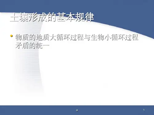 土壤形成的基本规律