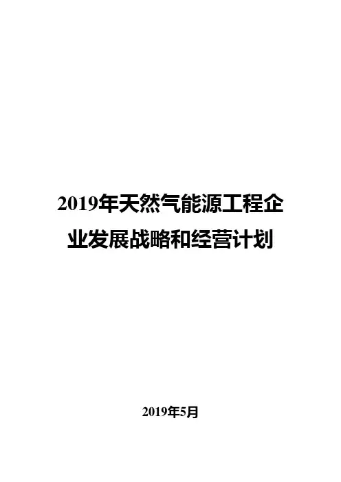 2019年天然气能源工程企业发展战略和经营计划
