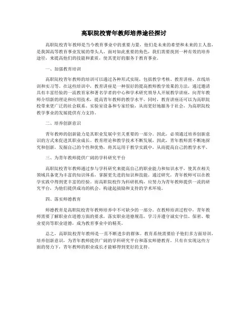 高职院校青年教师培养途径探讨