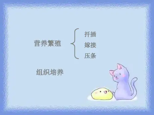 新人教版生物选修1课题1《菊花的组织培养》ppt之一
