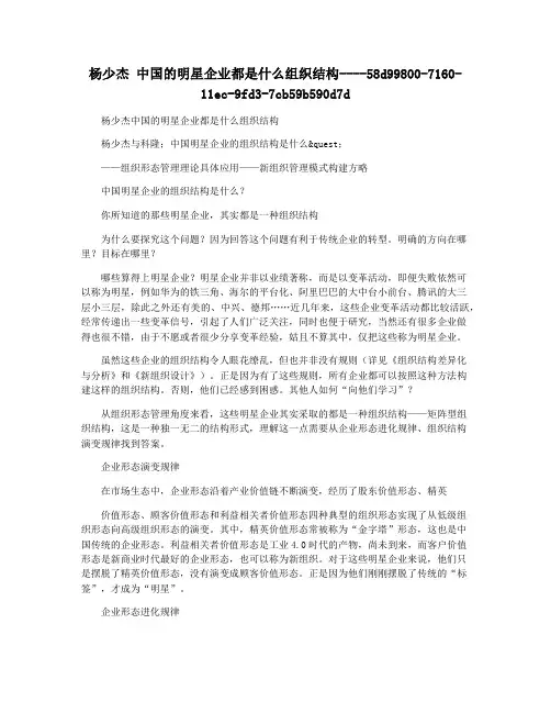 杨少杰 中国的明星企业都是什么组织结构
