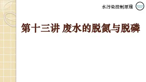 武理工水污染控制原理研究生课件第13讲 废水的脱氮与除磷