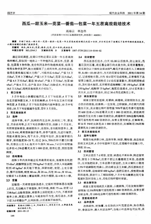 西瓜—甜玉米—芫荽—番茄—包菜一年五茬高效栽培技术