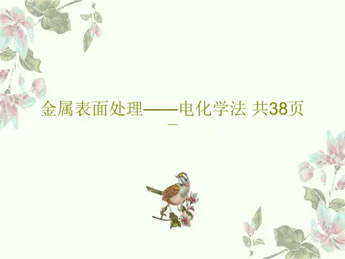 金属表面处理——电化学法 共38页40页PPT