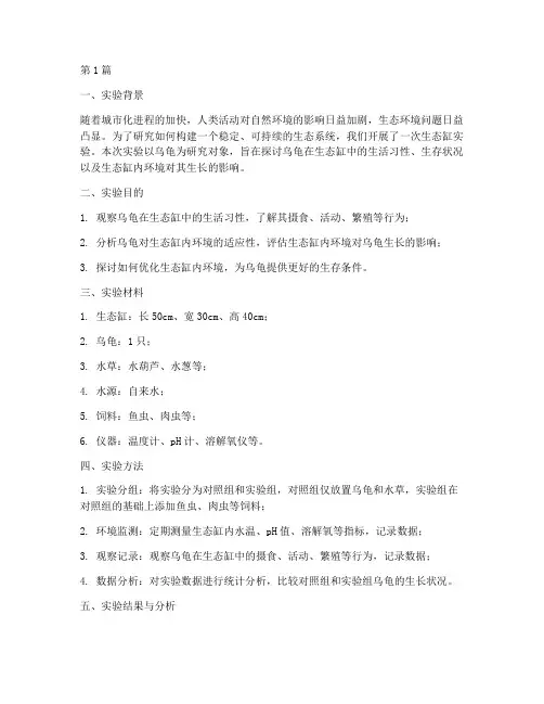 生态缸实验报告乌龟(3篇)