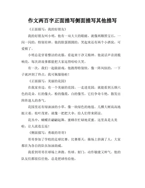 作文两百字正面描写侧面描写其他描写