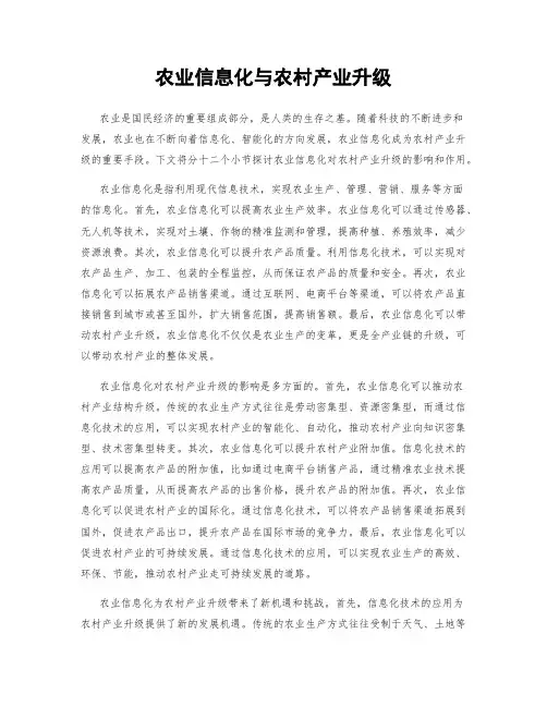 农业信息化与农村产业升级