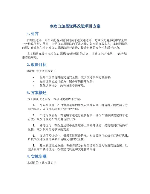 市政白加黑道路改造项目方案 (3)
