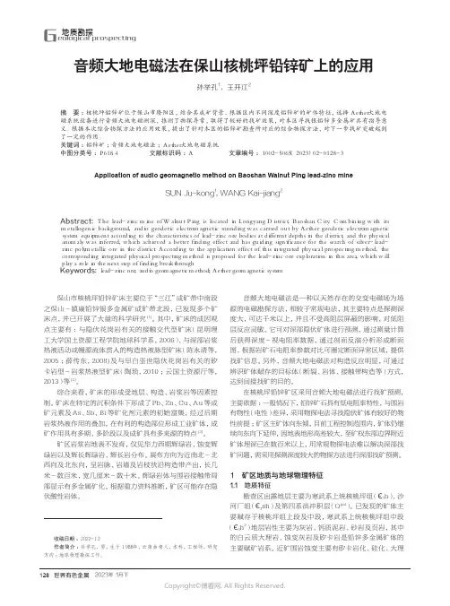 211171112_音频大地电磁法在保山核桃坪铅锌矿上的应用