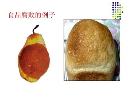 第二节_食品保鲜技术_.ppt