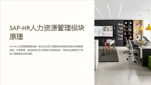 SAP-HR人力资源管理模块原理