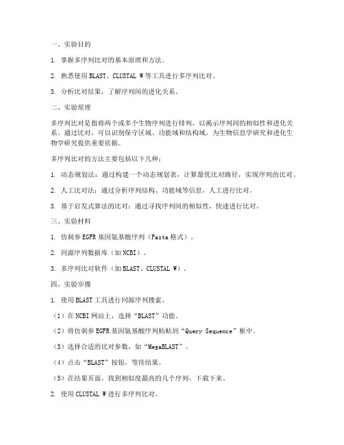 多序列比对的实验报告