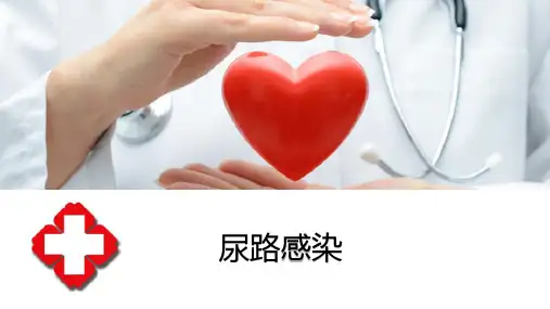 尿路感染概述(内科学课件)