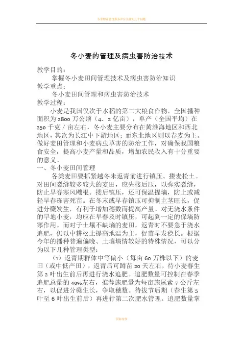 冬小麦的管理及病虫害防治教案
