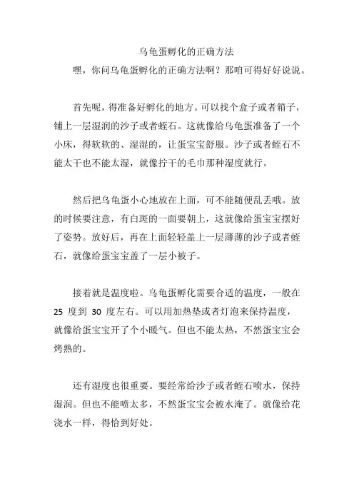 乌龟蛋孵化的正确方法
