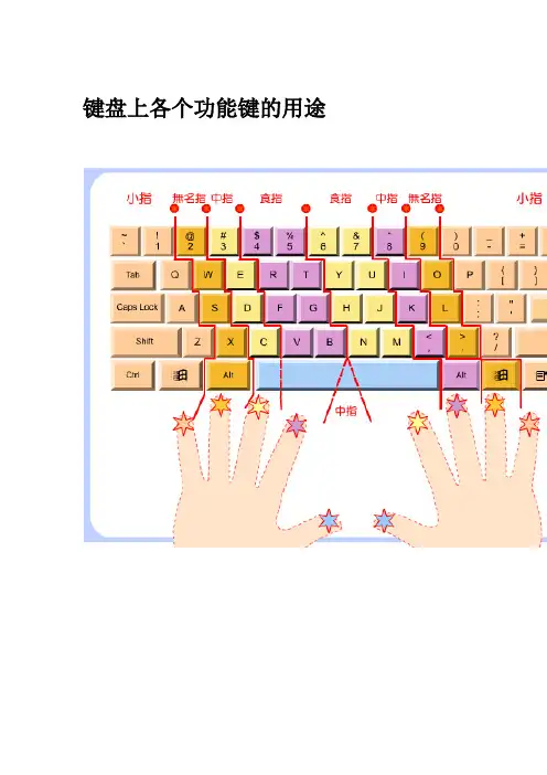 常用_键盘上各个功能键的用途