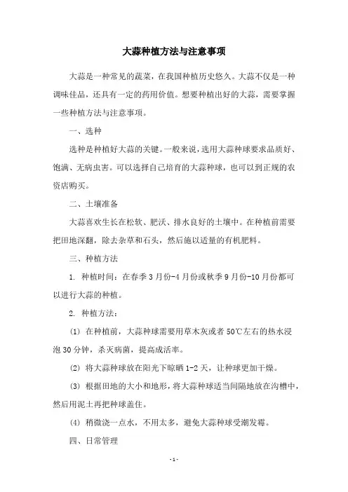 大蒜种植方法与注意事项