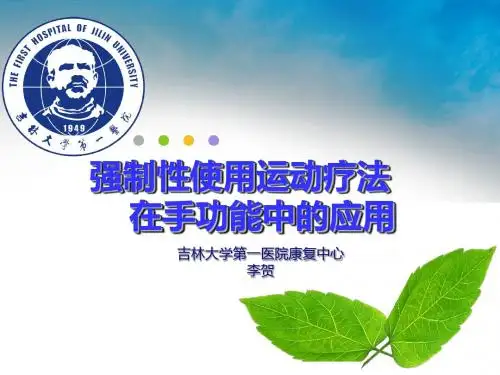 CIM临床应用 PPT课件