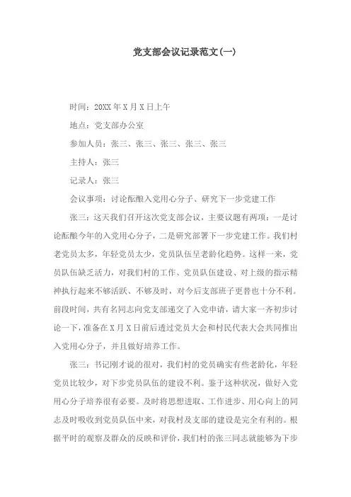 党支部会议记录范文(一)