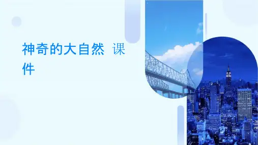 神奇的大自然课件