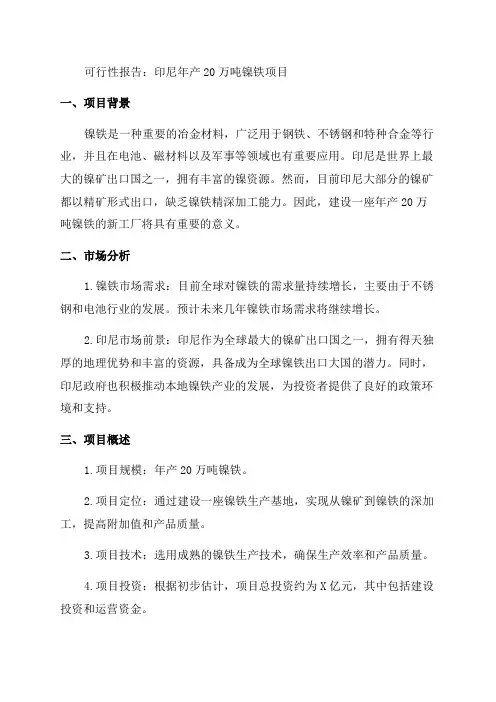 印尼年产20万吨镍铁项目可行性报告
