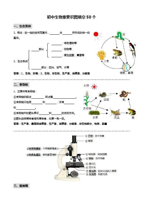 初中生物重要识图填空速记50个2024年中考生物一轮复习知识清单